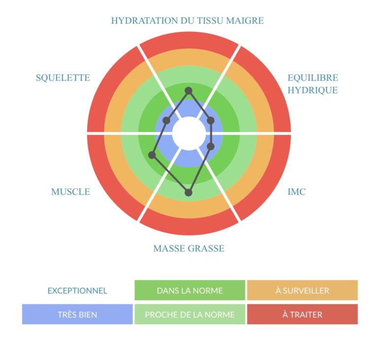 scan composition corporelle